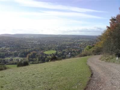 View 1