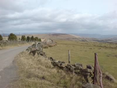 View 1
