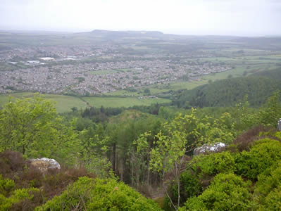 View 1