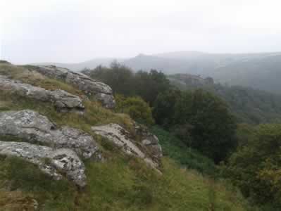 View 1